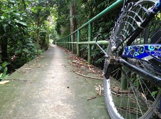 bangkok-by-bike
